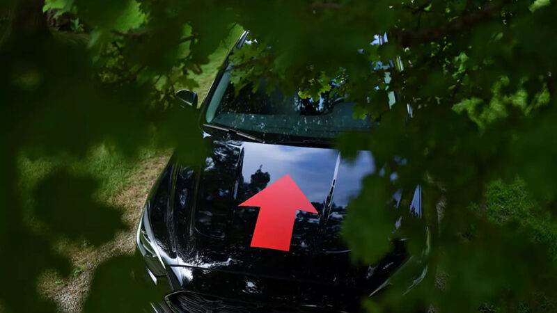 Tout le monde cherche à se garer à cette place l’été, mais elle ruine considérablement la voiture